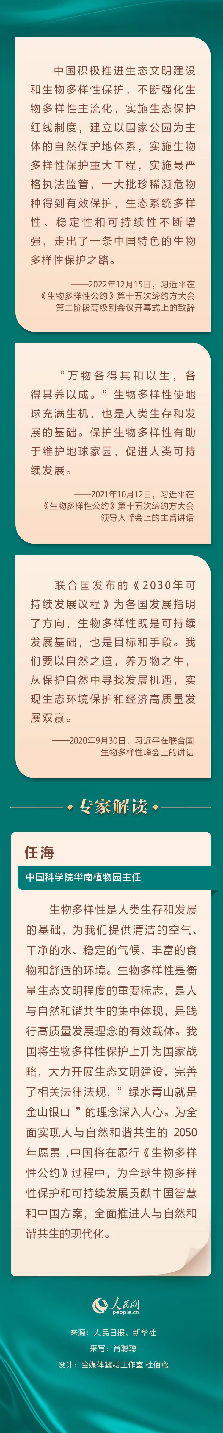 六典和彩宝典